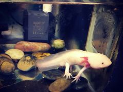 景点-上海大自然野生昆虫馆