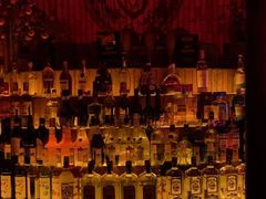 -Orangutan Bunker猩猩地堡酒吧(兰桂坊店)