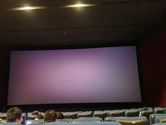 -嘉华国际影城(学清路店)