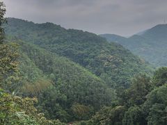 -四会奇石河风景区