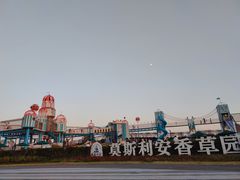 -季高兔窝窝亲子园(上海薰衣草公园店)