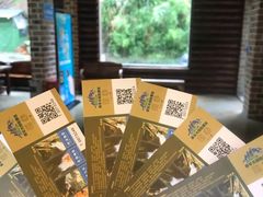 -将军关探险漂流