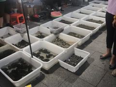 -华声天桥民俗文化园