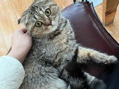 -猫小院猫主题餐厅(南锣旗舰店)