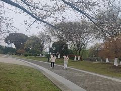 -石湖景区
