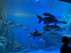 -多彩贵州城极地海洋世界