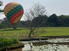 -中国科学院西双版纳热带植物园