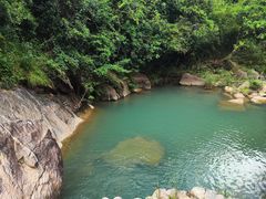 -广州白江湖森林公园