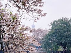 -红星桥(地铁站)