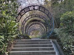 -金鸡山公园