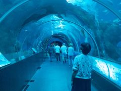 -新加坡海洋生态馆