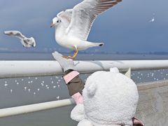 -海埂大坝