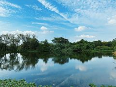 -西溪国家湿地公园