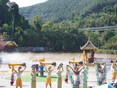 -西双版纳原始森林公园