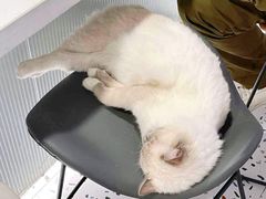 -FULL MOON满月咖啡