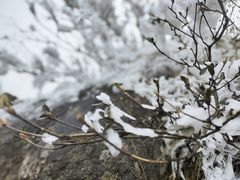 -金子山原生态旅游风景区