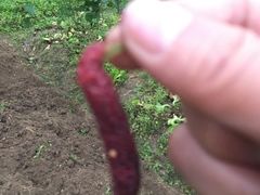 -邹记·美食(斗门店)