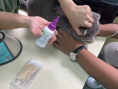 -东方动物医院·宠保定点·骨科·转诊中心(春城路·昆明站分院)