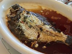 -豆花酒楼·三十八年匠心(秦皇东大街店)