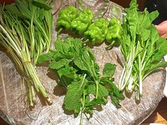 -缘生态云南菜·野生菌庭院餐厅(华侨城店)