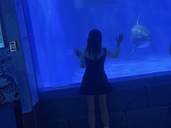 -多彩贵州城极地海洋世界