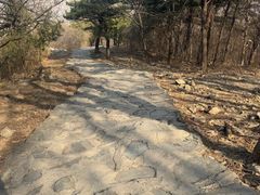 -北京鹫峰国家森林公园