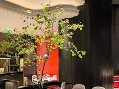 -新兴·金羊座·粤菜点心(乐峰店)