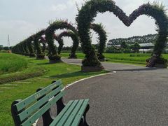 -迪茵湖田家舍生态农场