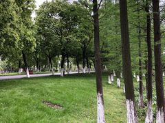 -艾溪湖湿地公园