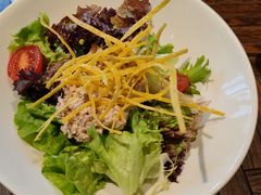 -Cactus墨西哥仙人掌餐厅