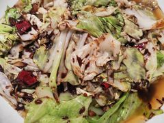 酱爆洋白菜-昱德来·天津菜(河西店)