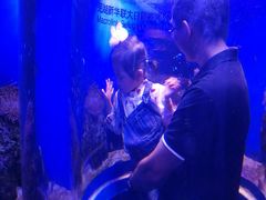 -芜湖新华联大白鲸海洋公园