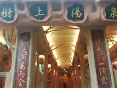 -天门沟九州驿站树上汤泉