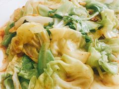 爆炒洋白菜-渔民船说·北塘海鲜·天津菜·海肠捞饭(北塘古镇店)