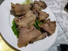 -丁老爷子苏香圆