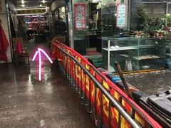-曲阳花鸟市场(曲阳路店)