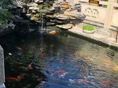 -顺德了能馆(虎门店)