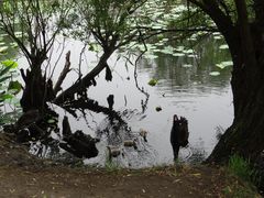 -长兴太湖图影湿地文化园