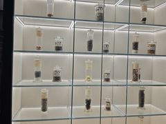 -广东中医药博物馆