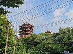 -黄鹤楼公园(黄鹤楼)