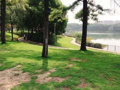 -美兰湖景区