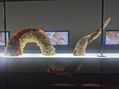 -上海虹桥中心爱琴海亚朵S酒店