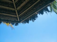 -东郊椰林