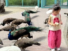 -水上乐园·欢乐世界