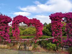 -东莞植物园