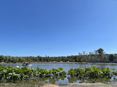 -长春市南湖公园