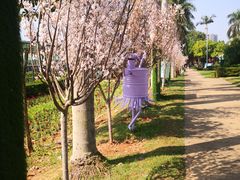 -观澜湖生态运动公社