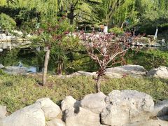 -趵突泉景区