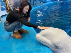 -海合安成都极地海洋公园