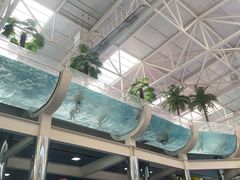-天山海世界